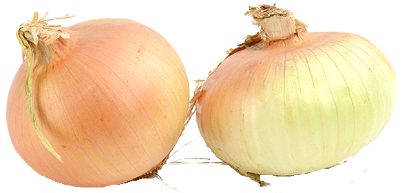 Value Center Market  sweet onions Full-Size Picture